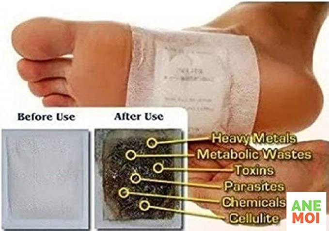 Natural Detox Foot Patches (Set of 10)