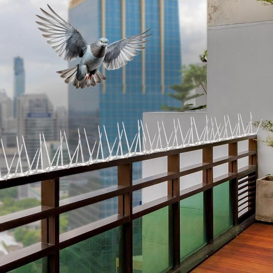 Pigeon Control Spikes (Set of 10)